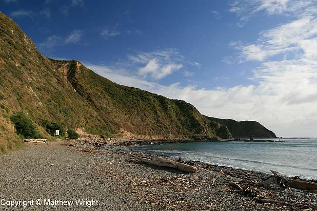 Makara Beach, winter 2014. You wouldn't think it was winter, really.