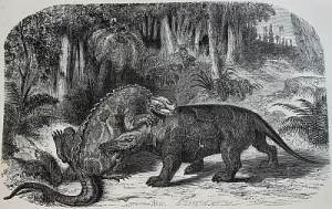 An 1863 reconstruction of Iguanodon vs Megalosaurus - complete with Iguanodon's thumb-bone wrongly placed as a nose spike. Classic Victorian-age thinking. Public domain, via Wikipedia.